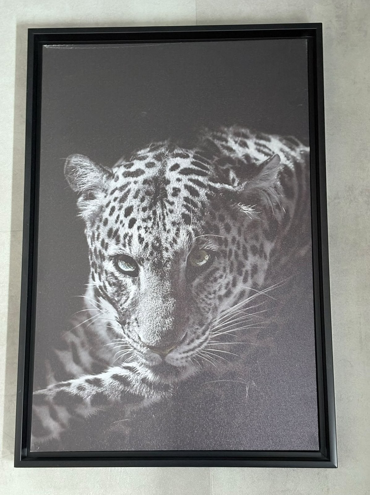 Canvasdoek met panter, Ophalen, Gebruikt, Schilderij