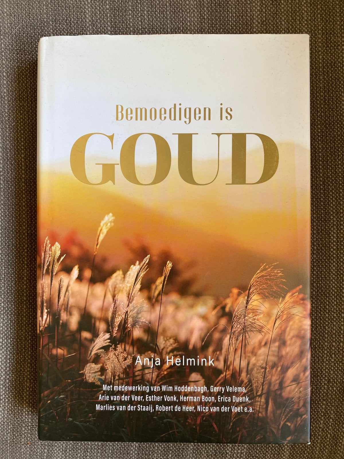 Anja Helmink - Bemoedigen is Goud, Christendom | Protestants, Ophalen of Verzenden, Zo goed als nieuw, Anja Helmink