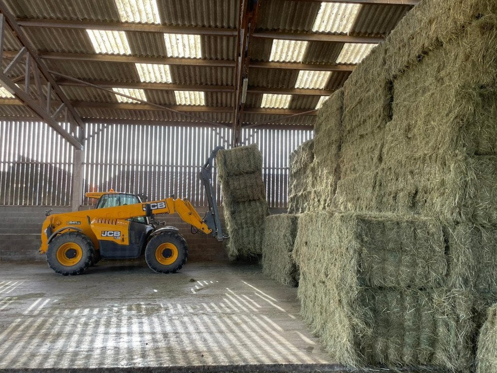 Hooi te koop, Dieren en Toebehoren, Dierenvoeding, Ophalen of Verzenden, Overige soorten