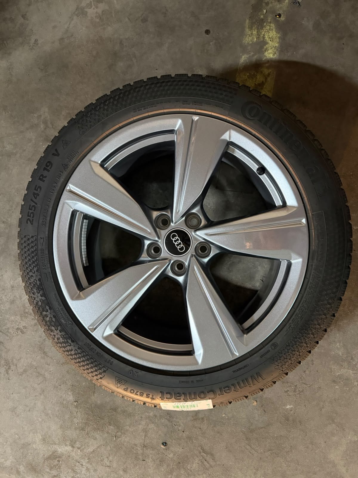 Originele Audi 19” velgen + Continental winterbanden, 255 mm, Banden en Velgen, Winterbanden, Ophalen