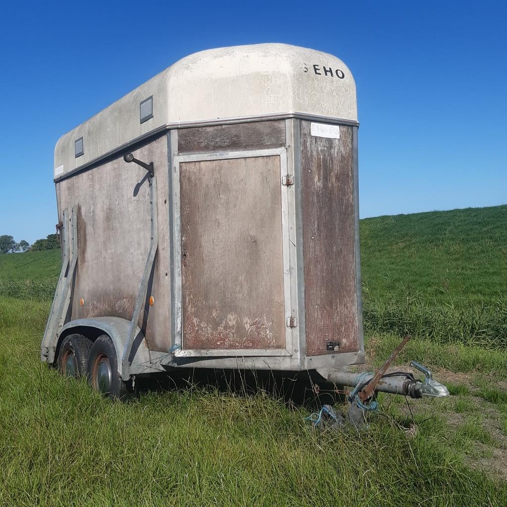 Te koop veewagen, Mannelijk, Geit, 6 jaar of ouder