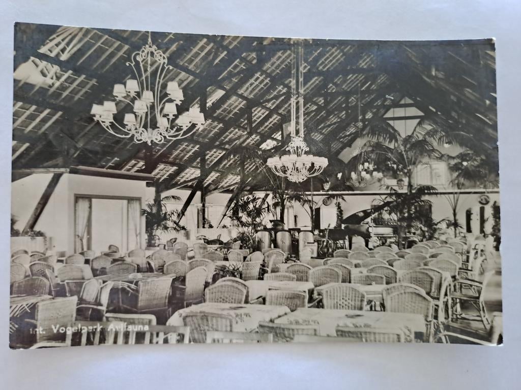 Avifauna, vogelpark, Ophalen of Verzenden