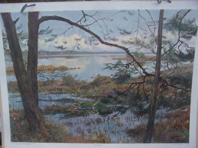 Schoolplaat Ven bij Oisterwijk ca. 1930 H.J. Wolter, Antiek en Kunst, Antiek | Schoolplaten, Natuur en Biologie, Ophalen of Verzenden