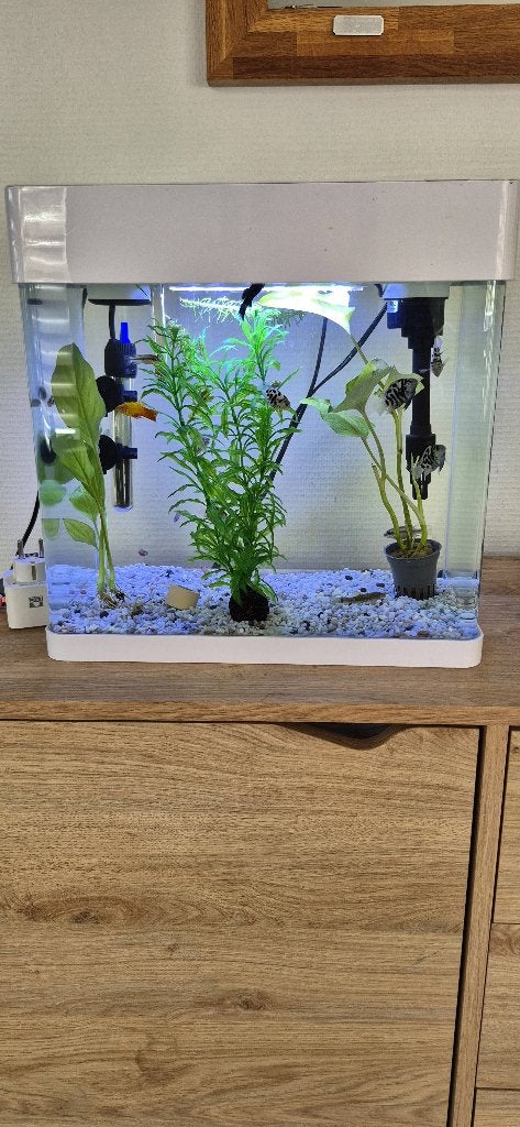 Super mooi aquarium, Ophalen of Verzenden, Zo goed als nieuw, Leeg aquarium, Superfish