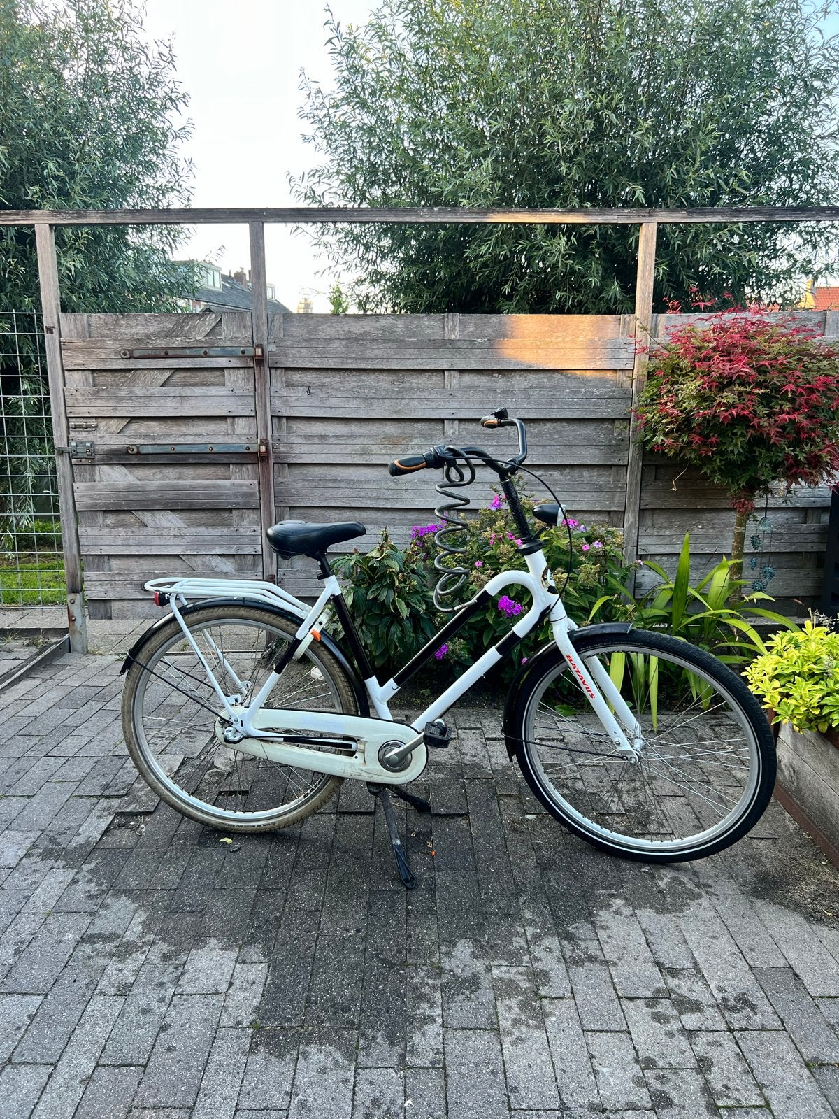 Batavus Bub fiets met bagagedrager frame 56, Ophalen, Terugtraprem, Versnellingen, Batavus