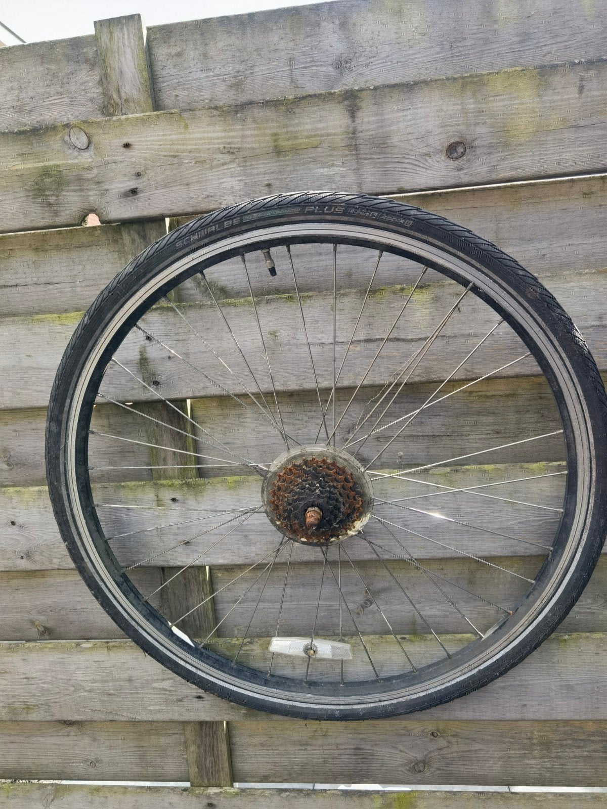 Gebruikt achter wiel met 7 tanden en band

Met band zo als t, Fietsen en Brommers, Ophalen of Verzenden, Band