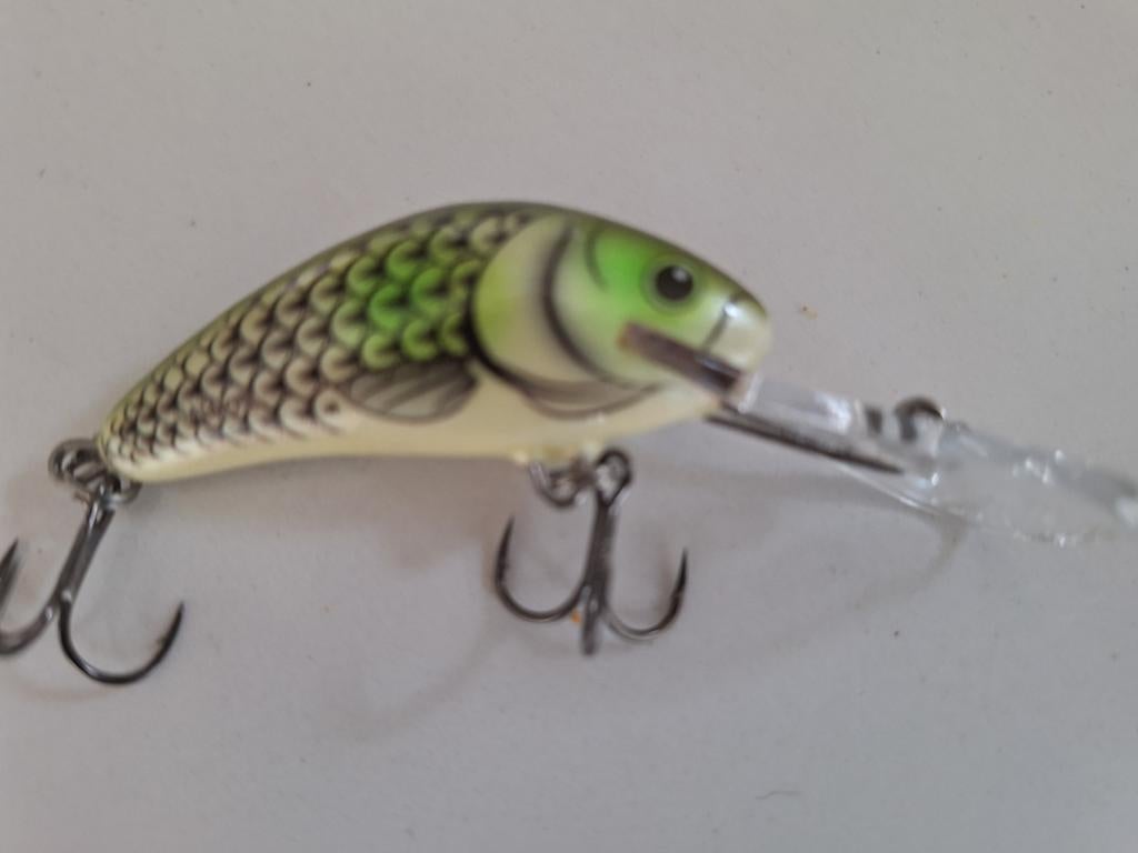 Salmo poland kunstaas, Ophalen of Verzenden, Nieuw, Overige typen