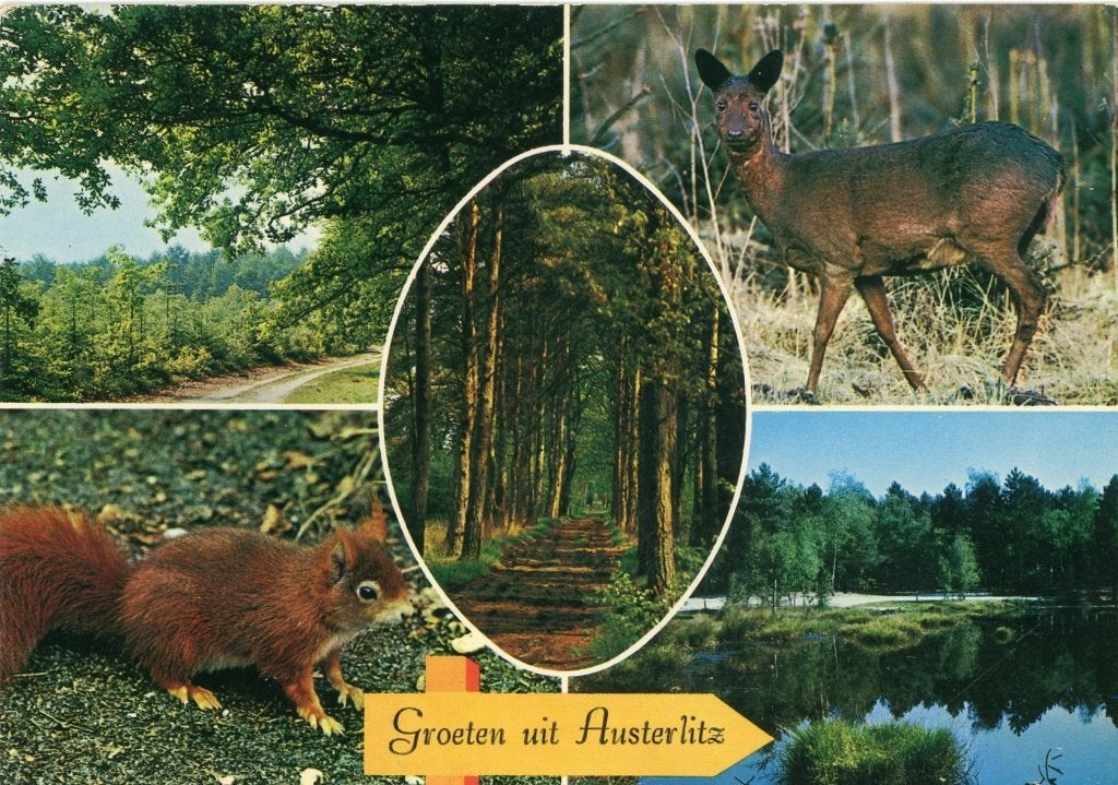 AUSTERLITZ Bos Eekhoorn Hert Meer Groeten, Verzenden, 1980 tot heden, Gelopen, Utrecht