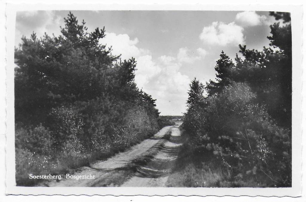 Soesterberg Boschgezicht - Oude Ongelopen ansichtkaart B6898, Verzamelen, Ophalen of Verzenden, 1940 tot 1960, Ongelopen