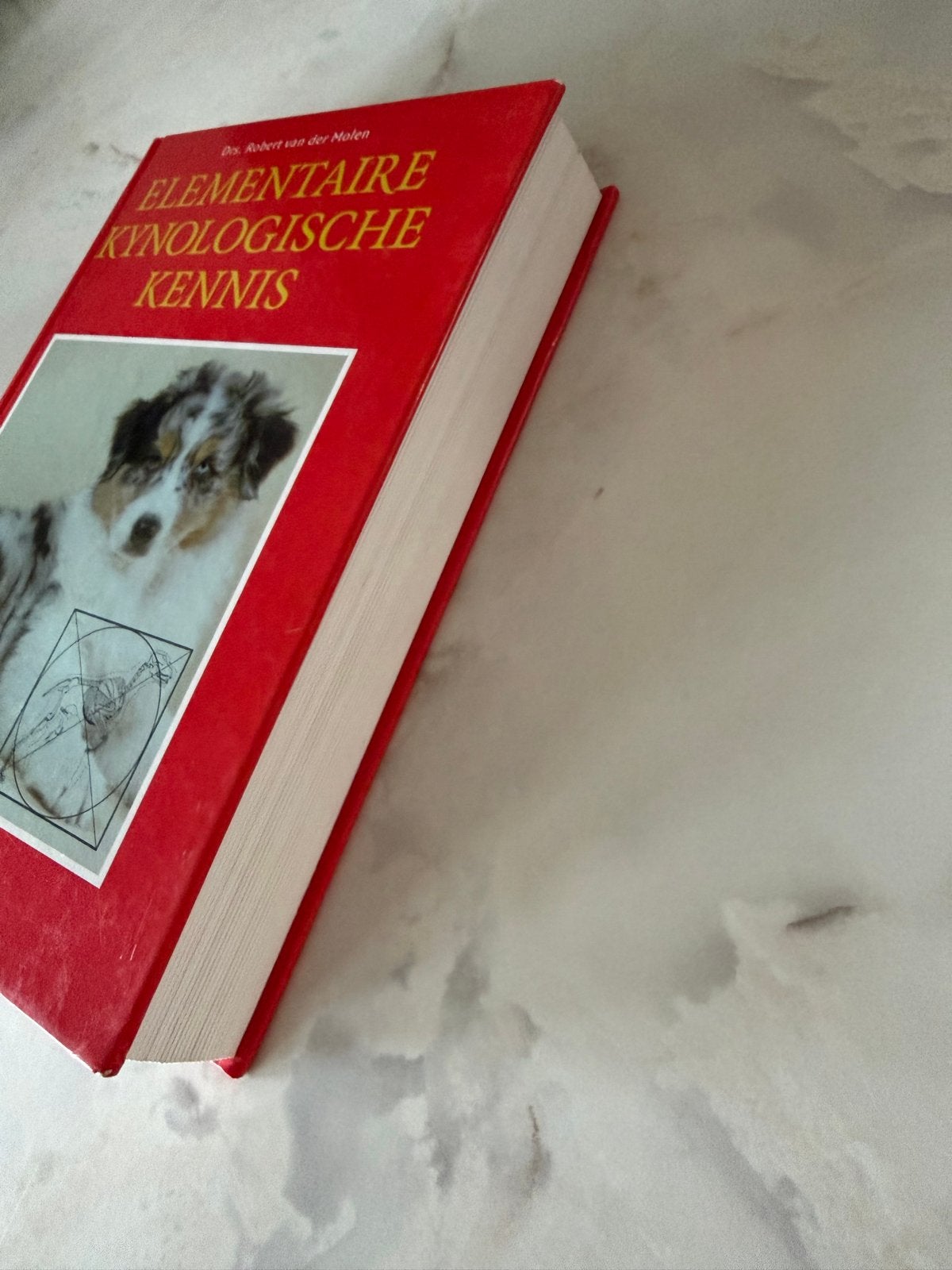Elementaire Kynologische Kennis - Drs. Robert van der Molen, Ophalen of Verzenden, Gelezen, Honden
