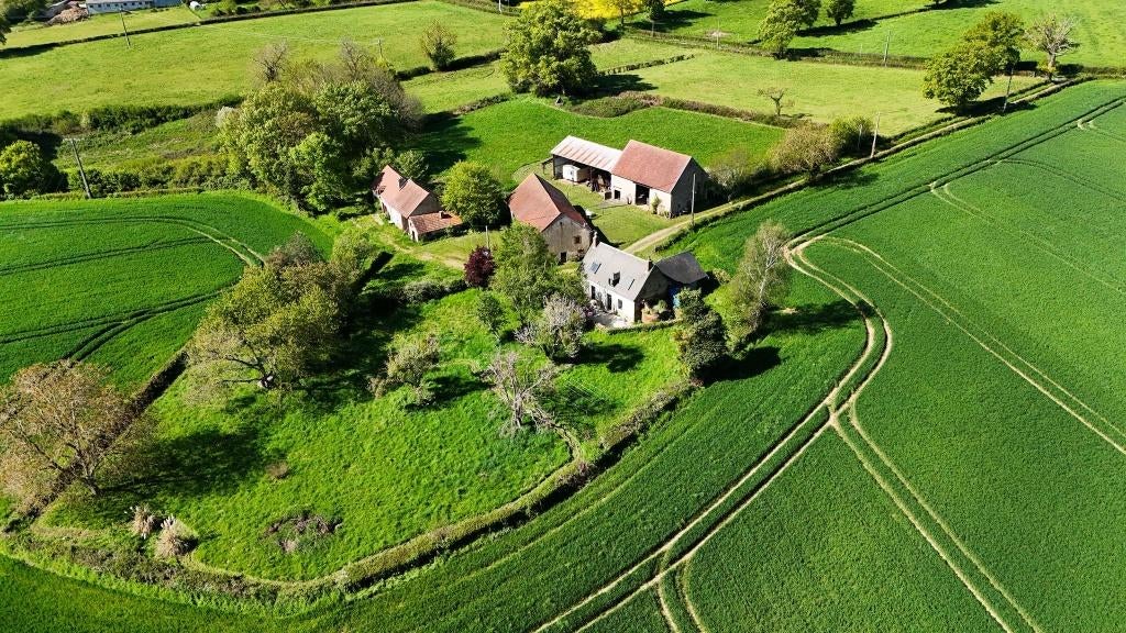 Sfeervol gerenoveerde boerderij in hartje Frankrijk, Huizen en Kamers, Buitenland, Woonhuis, Landelijk, Saint Palais, 130 m²