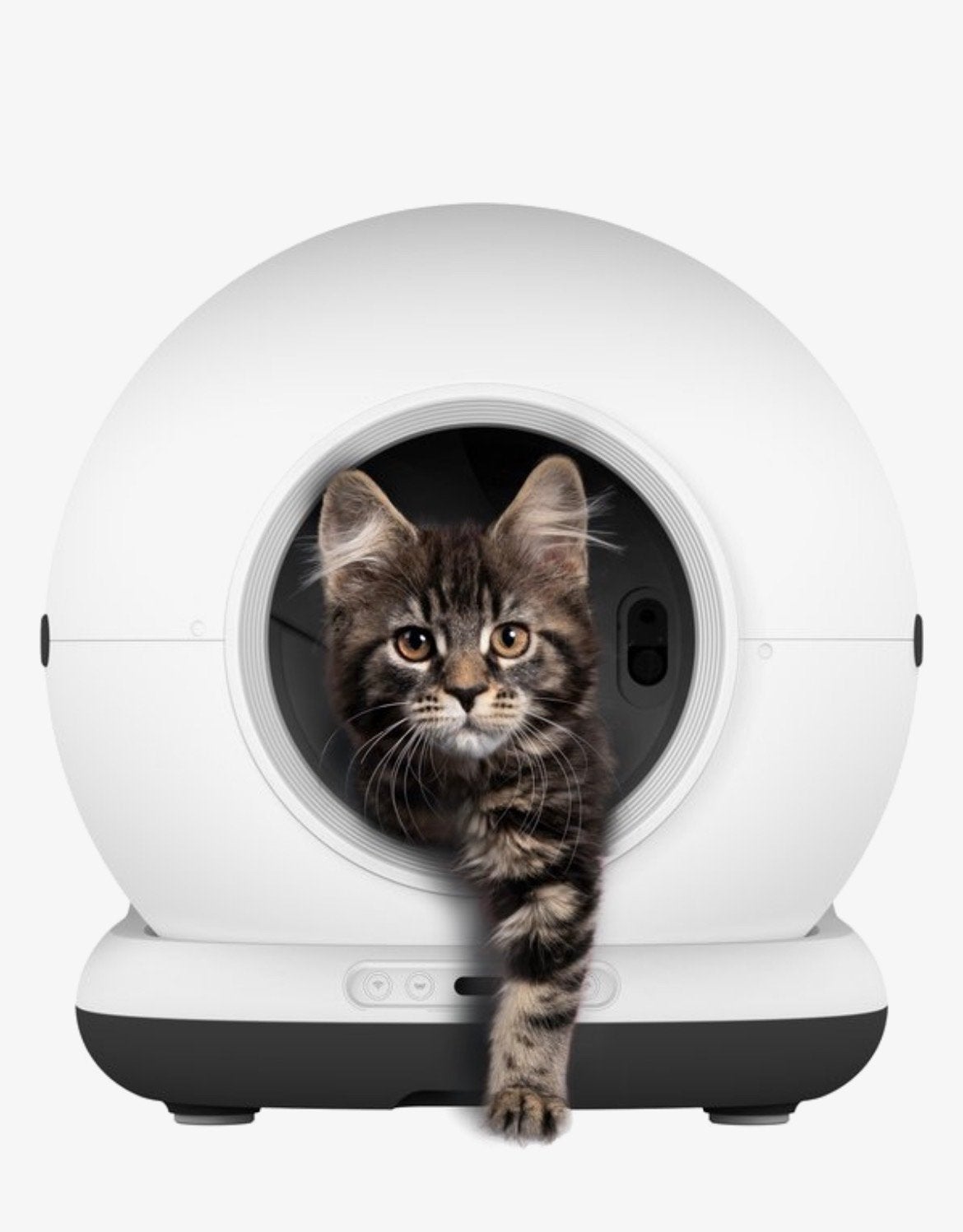 Zedar automatische kattenbak z.g.a.n., Ophalen, Zo goed als nieuw