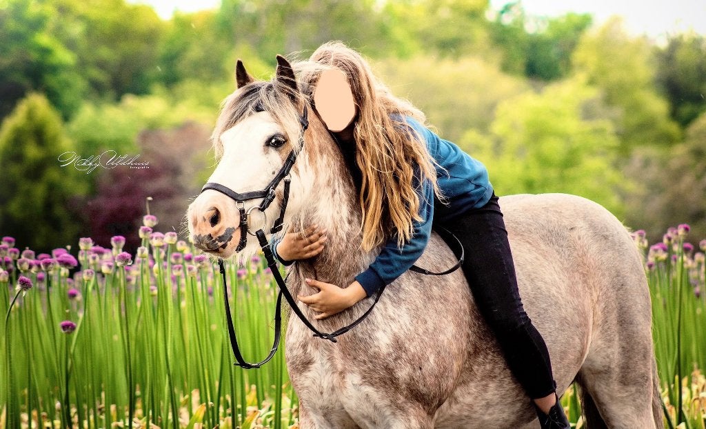 Lieve allroand C-pony, C pony (1.27m tot 1.37m), 11 jaar of ouder, Recreatiepony, Merrie