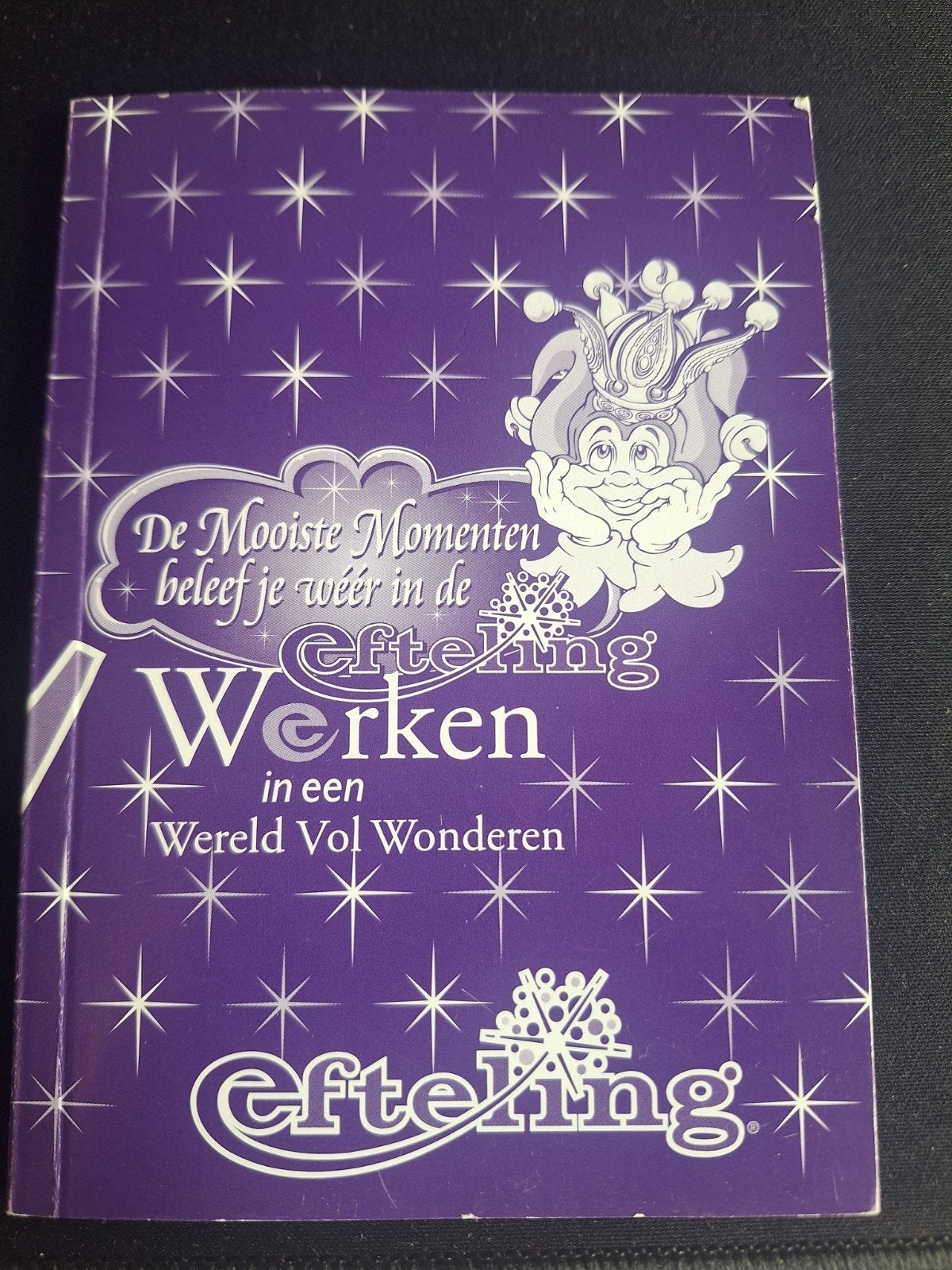 Efteling personeelsboekje: Werken in een Wereld Vol Wonderen, Ophalen of Verzenden, Gebruikt, Overige typen