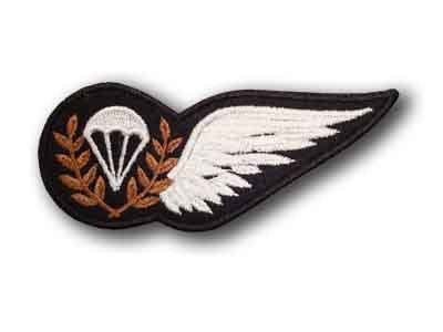 KCT Para-Wing Instructeur DT, Verzenden, Landmacht, Nederland, Embleem of Badge