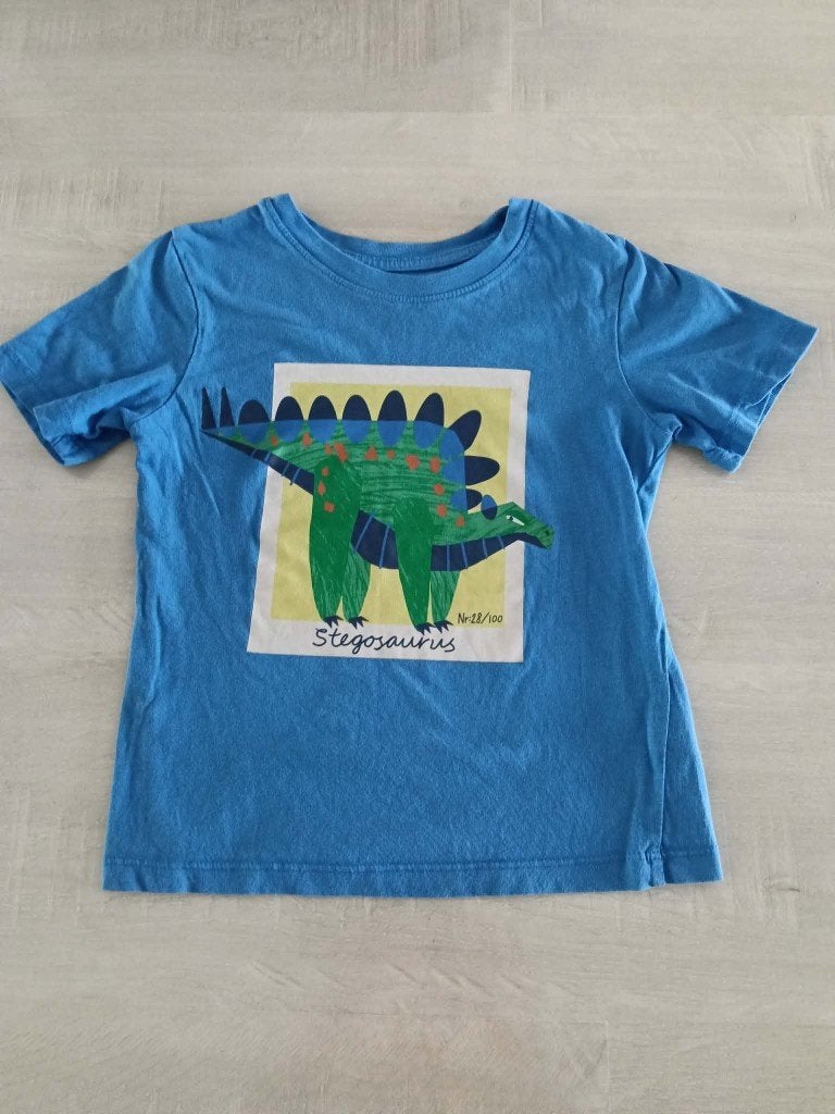 T shirt dino maat 98 - 104, H&M, Ophalen of Verzenden, Zo goed als nieuw, Shirt of Longsleeve