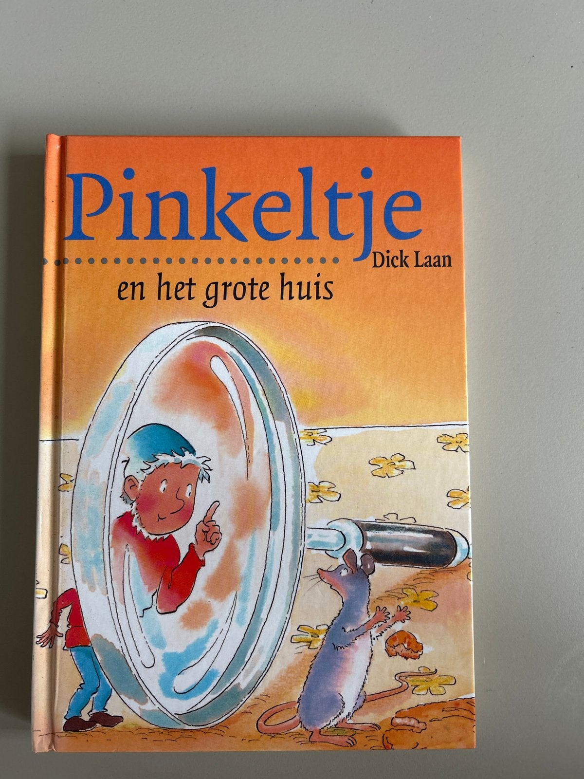Pinkeltje en het grote huis - Dick Laan, Ophalen of Verzenden, Zo goed als nieuw, Fictie algemeen