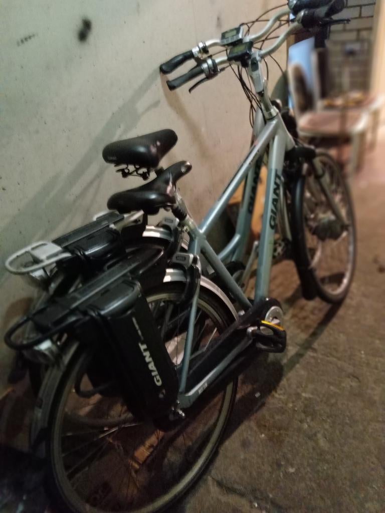 Giant elektrische fiets, Ophalen of Verzenden
