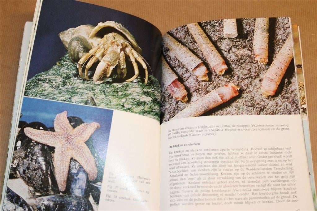 Het Wad — Thieme\'s Zakboek voor Natuurvrienden, Ophalen of Verzenden, Zo goed als nieuw