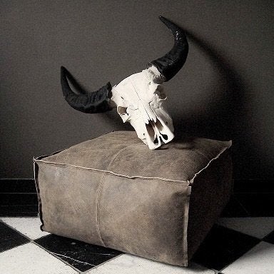 Buffel schedels wand & op standaard gewei hoorns taxidermie, Ophalen of Verzenden, Nieuw, Overige soorten, Opgezet dier