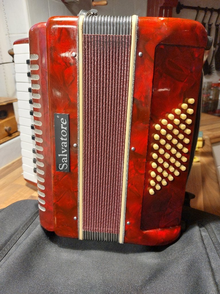Accordeon, 48-bas, Met koffer, Zo goed als nieuw, Knopaccordeon