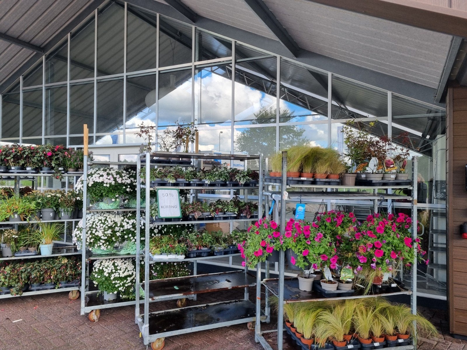 Vaste planten te koop bij Kringloopwinkel, Ophalen, Vaste plant