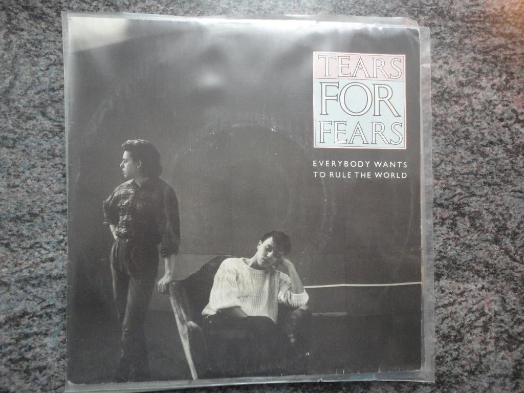Tears For Fears/Everybody wants to rule the world FR.1985 FH, Cd's en Dvd's, Vinyl Singles, Gebruikt, 7 inch, Single, Ophalen of Verzenden