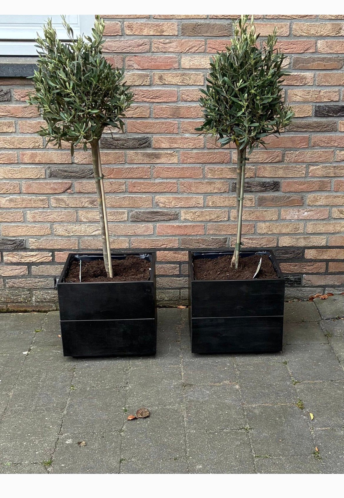 Bloembak, Tuin en Terras, Ophalen, Overige soorten, Minder dan 100 cm
