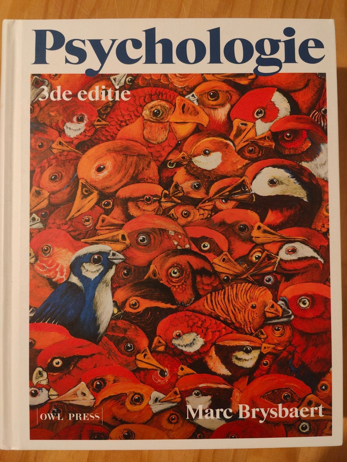 Marc Brysbaert - Psychologie, Ophalen of Verzenden, Marc Brysbaert, Ontwikkelingspsychologie, Zo goed als nieuw