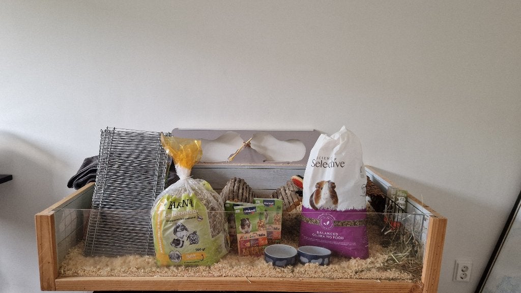 Mooi stevig caviahok met heel veel extra, Hok, Cavia, Ophalen, Minder dan 60 cm