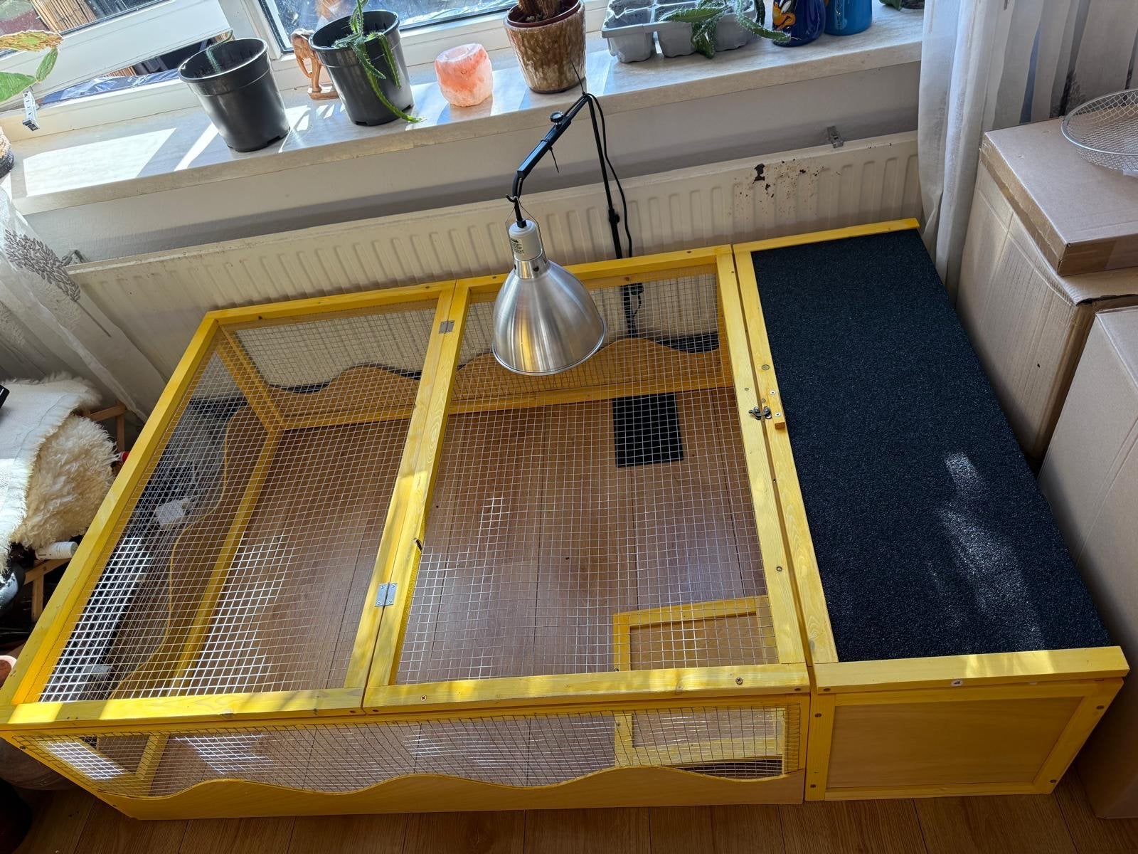 Schildpadden verblijf, Dieren en Toebehoren, Ophalen