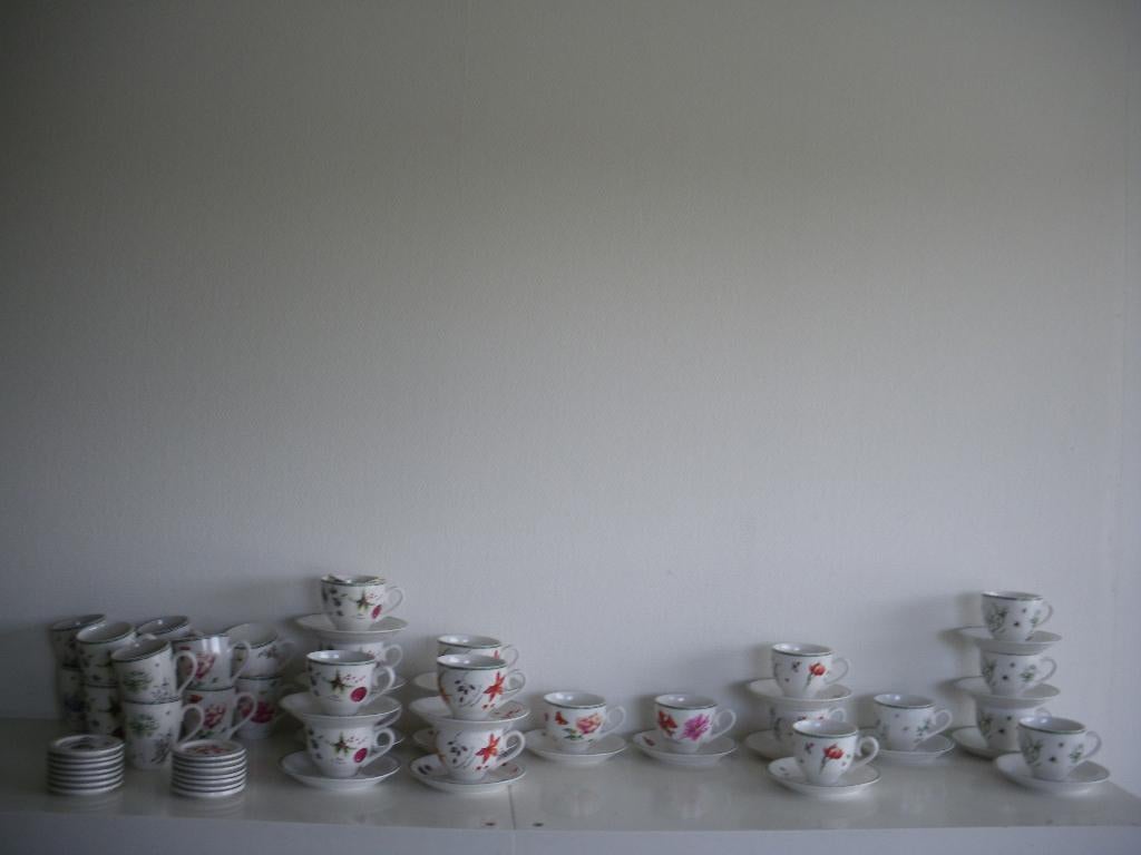 Janneke Brinkman maand servies, Huis en Inrichting, Keuken | Servies, Ophalen of Verzenden, Zo goed als nieuw, Bord(en), Wedgwood