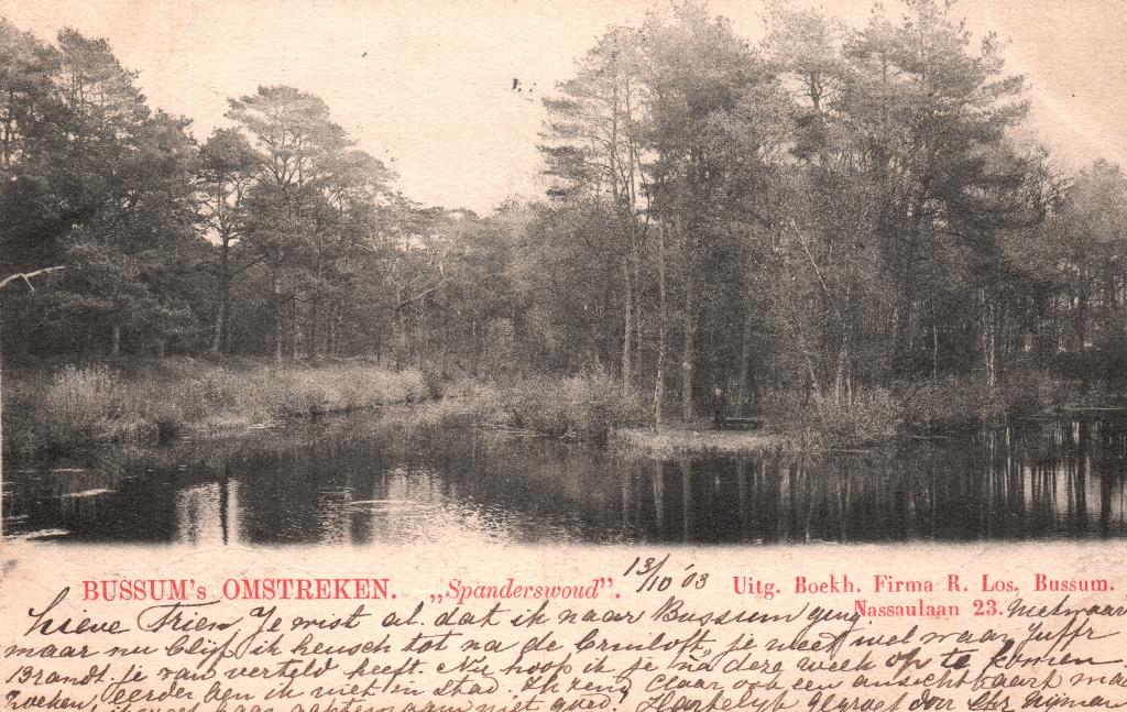 Bussums Omstreken, Spanderswoud (1903) 127903, Ophalen of Verzenden, Voor 1920, Gelopen, Noord-Holland