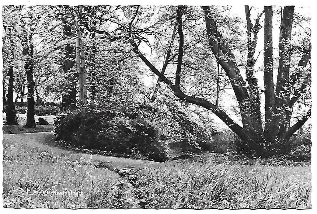 Elsloo kasteelpark oude ongelopen ansichtkaart ( a1110 ), Verzamelen, Ophalen of Verzenden, 1920 tot 1940, Ongelopen