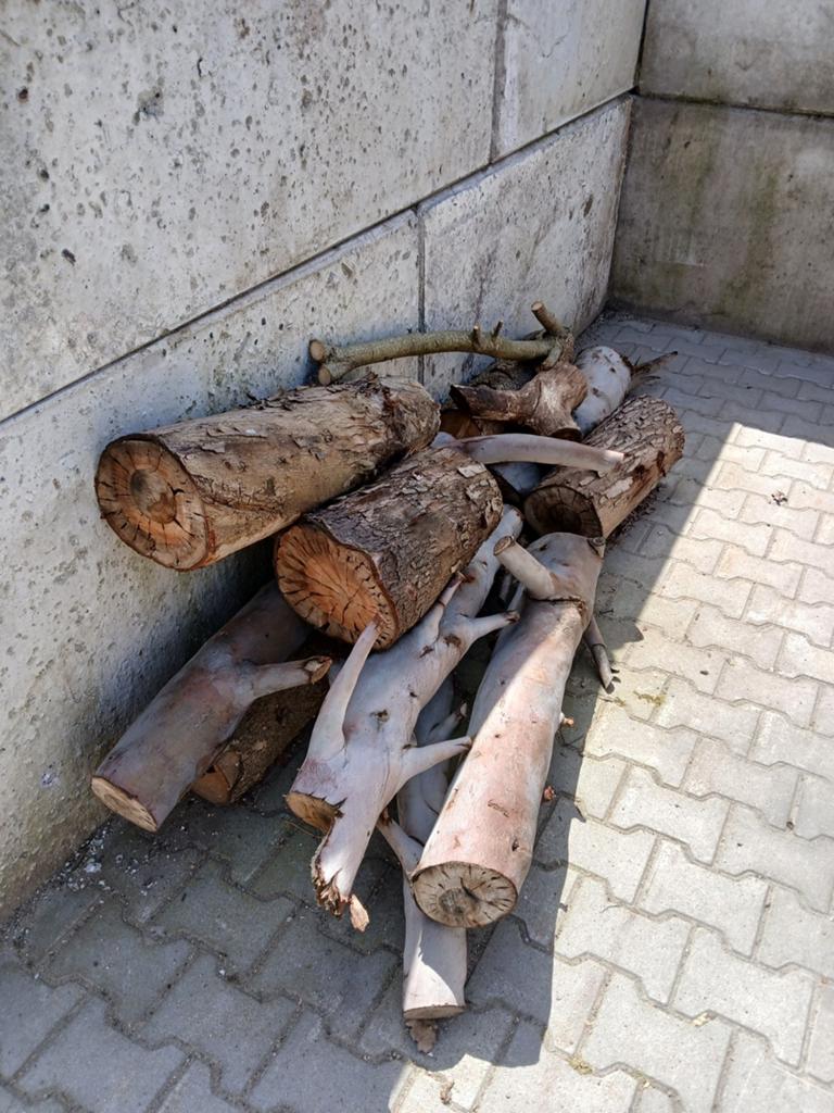 Brandhout , boomstammen, Tuin en Terras, Haardhout, Minder dan 3 m³, Ophalen