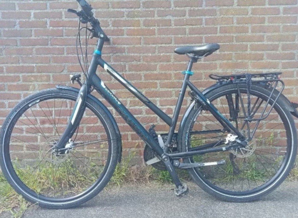 Pegasus Tecaro, Minder dan 10 versnellingen, Gebruikt, 53 tot 57 cm, Ophalen