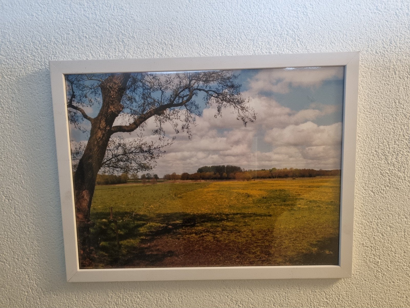 Ingelijste foto van een landschap, Minder dan 50 cm, Ophalen of Verzenden, Zo goed als nieuw, Foto of Poster