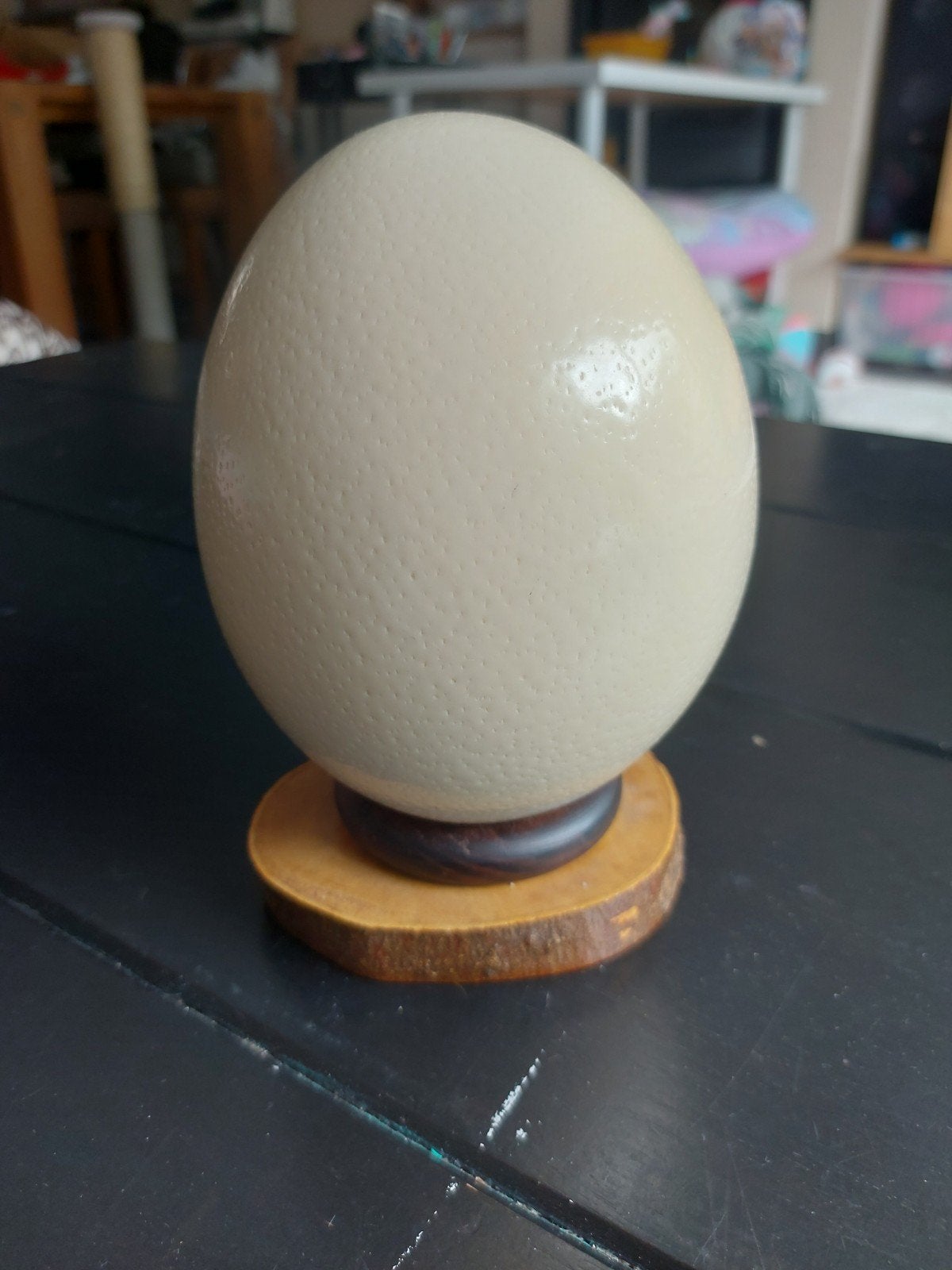 Struisvogelei echte met Houten Standaard, Ophalen of Verzenden, Gebruikt, Vogel, Overige typen