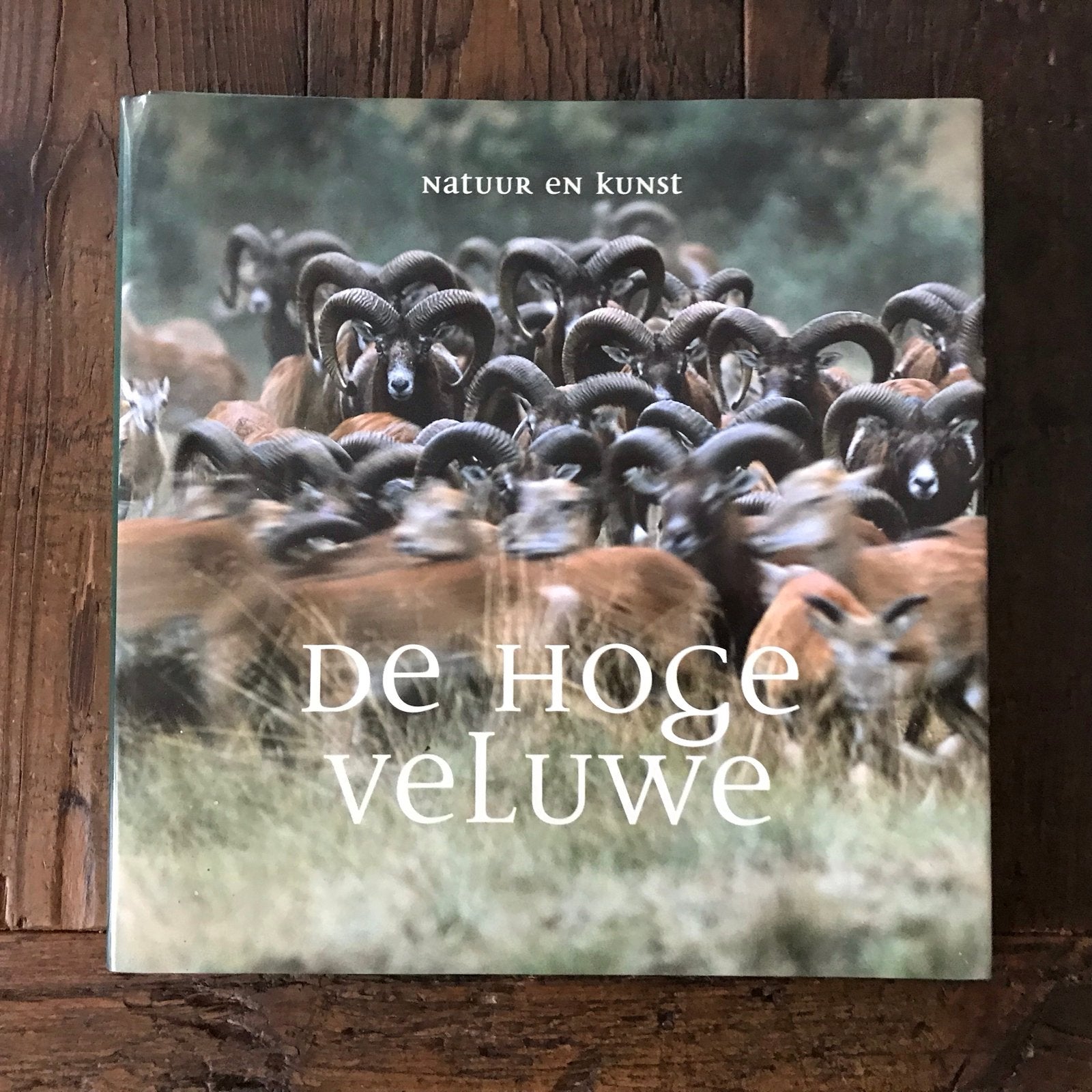 Natuur en Kunst: De Hoge Veluwe - Prachtig Natuurboek, Ophalen of Verzenden, Zo goed als nieuw, Wandel- of Recreatiegebieden