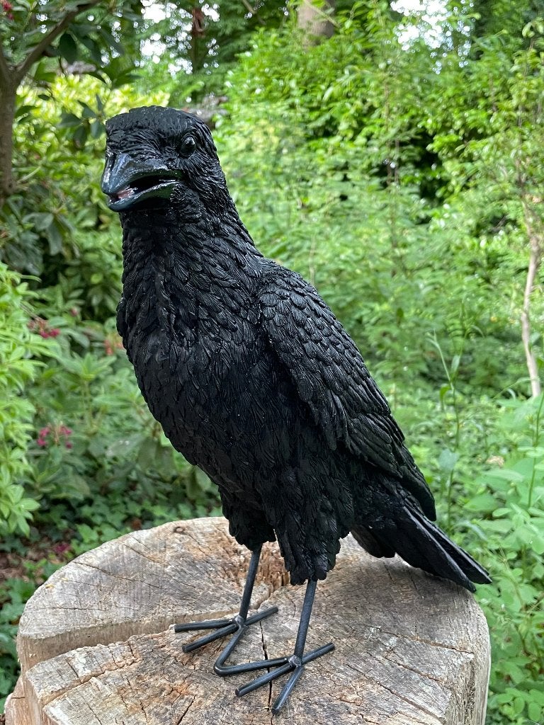 (tuin)beeld Kraai, Raaf, gazon, tuin, boerderij 35cm, Ophalen of Verzenden, Nieuw, Kunststof, Dierenbeeld