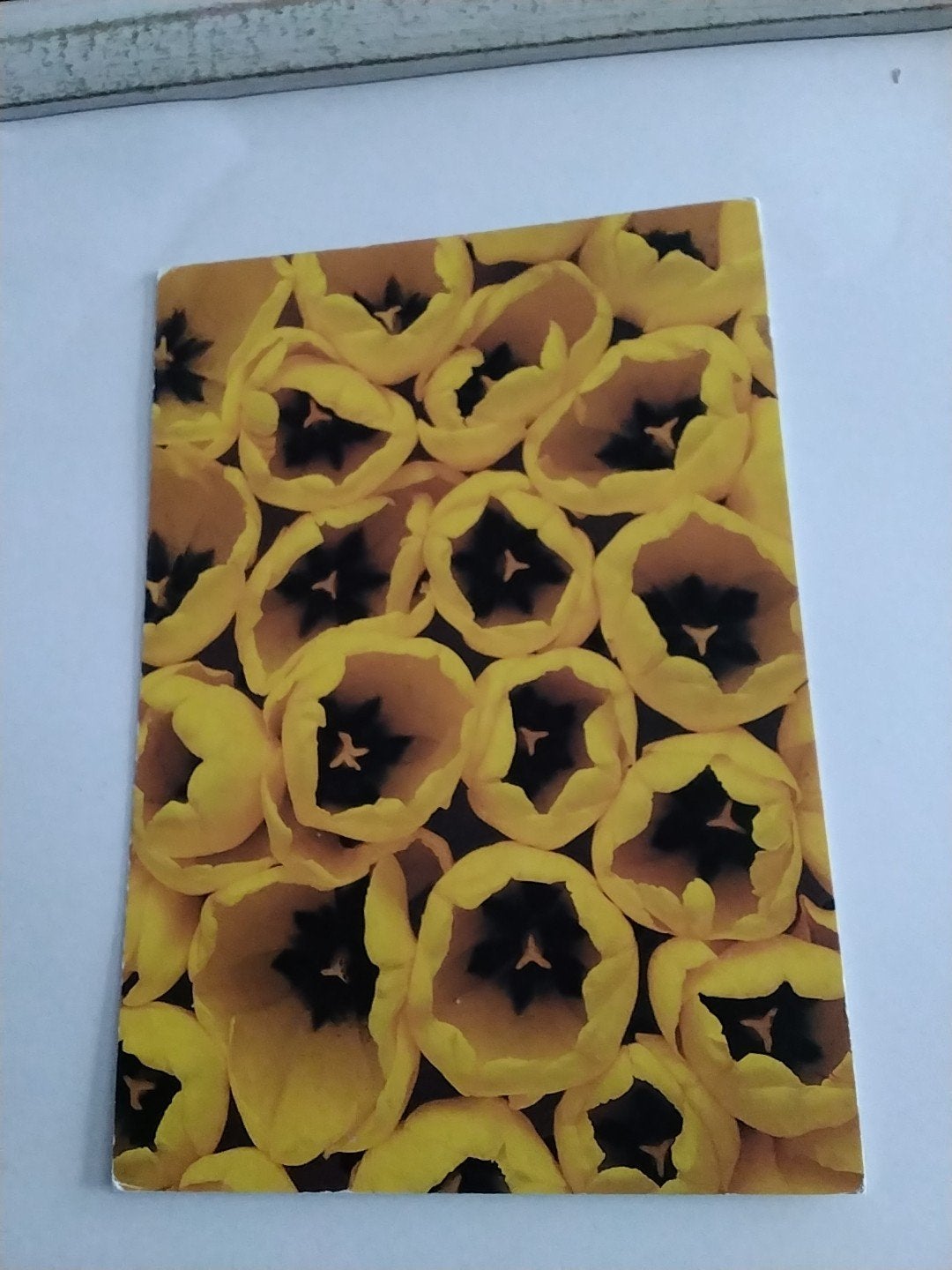 Ansichtkaart Gele Tulpen  Flower Power- Paul Huf, Ophalen of Verzenden, 1980 tot heden, Ongelopen