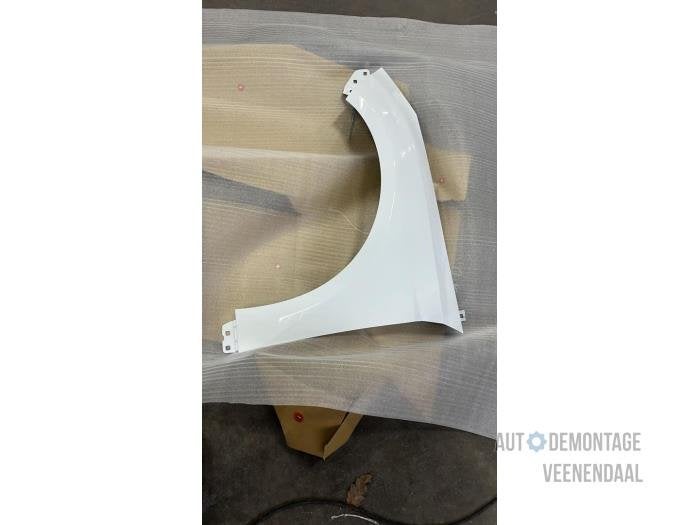Scherm links-voor van een Ford Focus (FROZEN), -, -, Nieuw, Ophalen of Verzenden