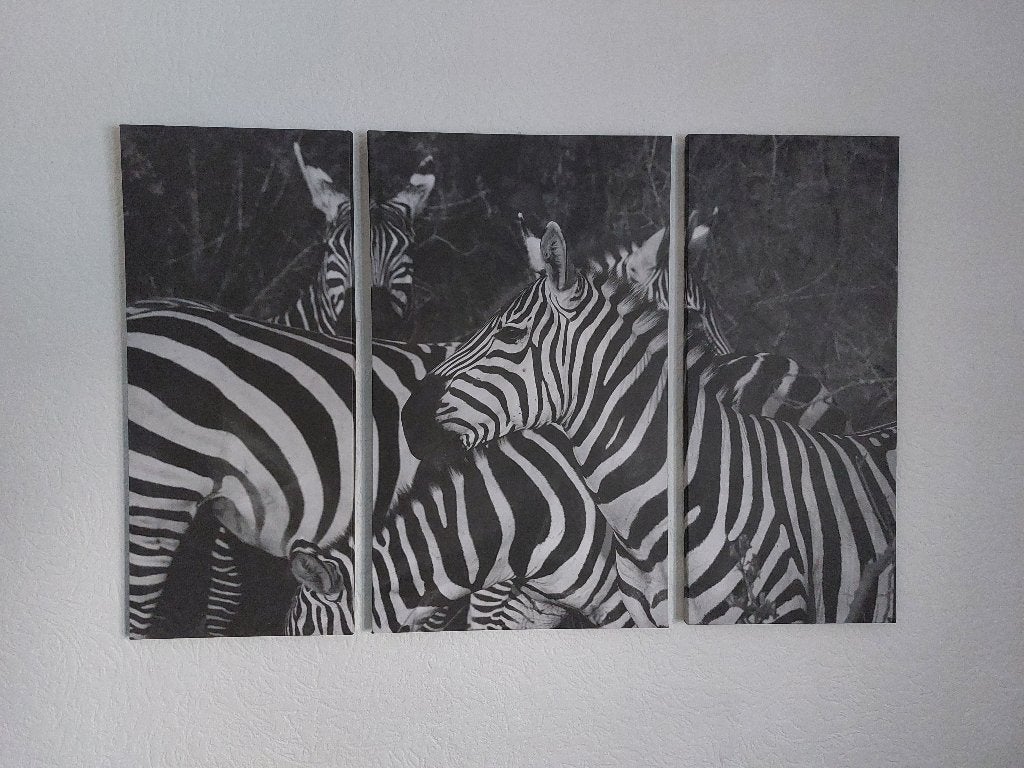 Zebra canvas 3 delig doek foto 3 luik 85 cm x 58 cm, Ophalen of Verzenden, Zo goed als nieuw, 50 tot 75 cm, Schilderij