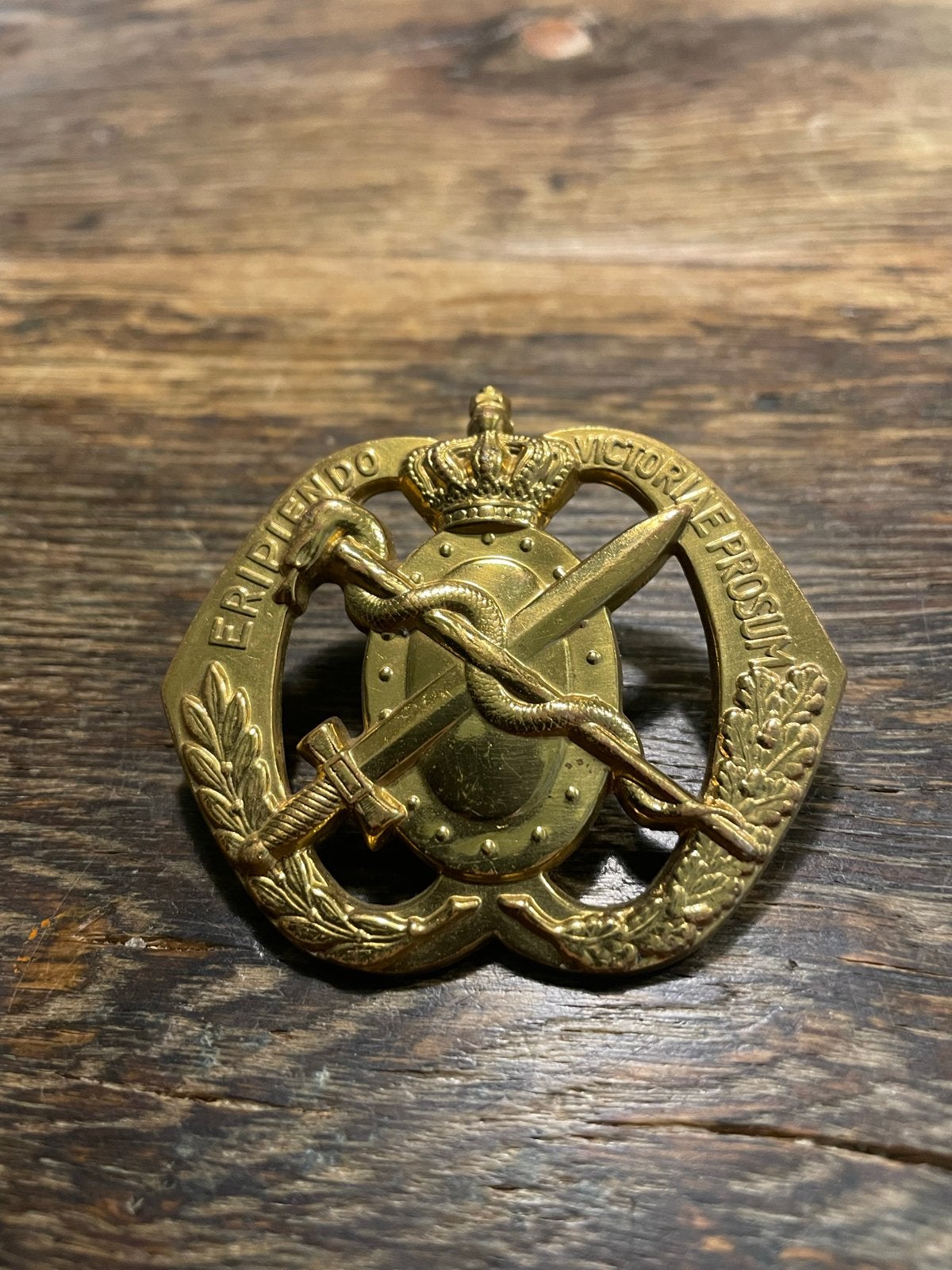 Militair Embleem: Victoriae Prosim - Landmacht, Ophalen of Verzenden, Landmacht, Overige gebieden, Embleem of Badge