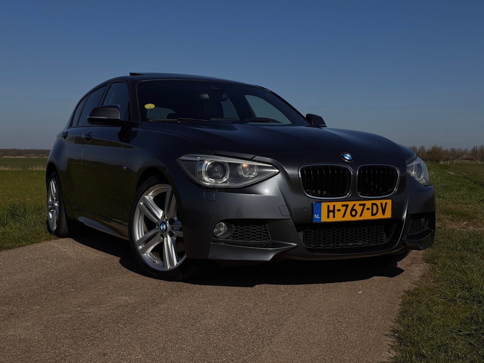 BMW 1-Serie 2.0 120D 5DR xDrive 2014 Grijs, Auto's, Euro 5, Zwart, 4 cilinders, Leder