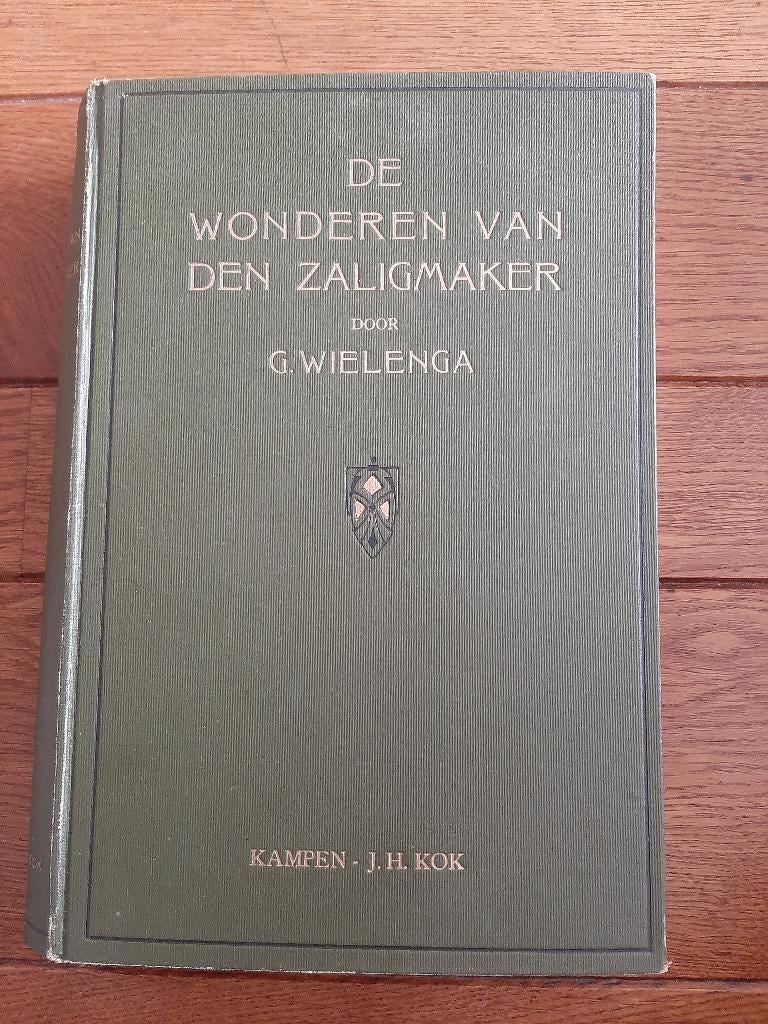 G. Wielenga, De wonderen van de Zaligmaker., Boeken, Ophalen of Verzenden, Gelezen