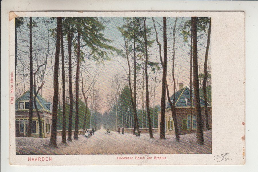 Naarden, Hoofdlaan Bosch van Bredius, Ophalen of Verzenden, Voor 1920, Gelopen, Noord-Holland