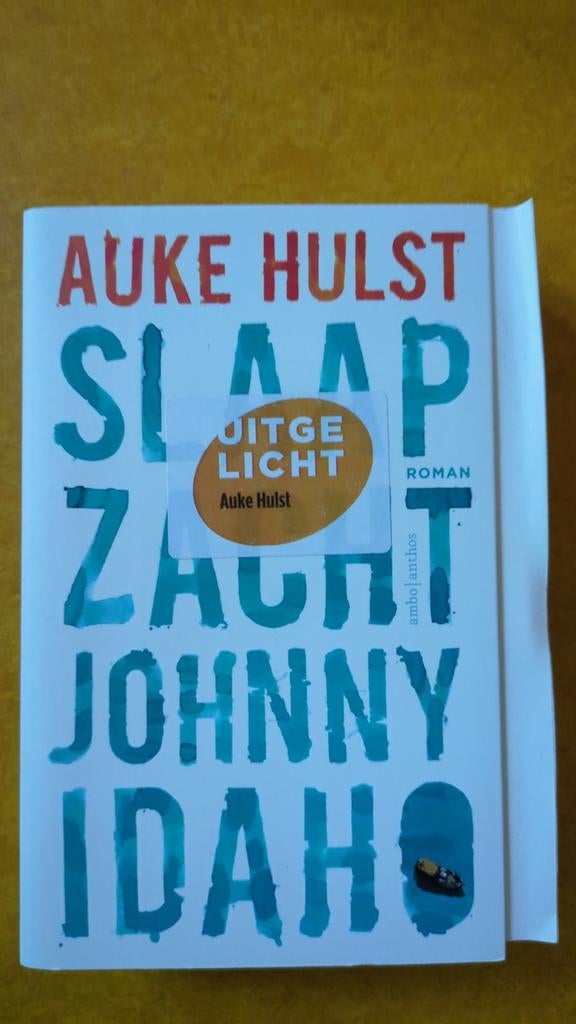 Slaap Zacht, Johnny Idaho - Auke Hulst (roman), Boeken, Ophalen of Verzenden, Zo goed als nieuw, Auke Hulst, Nederland
