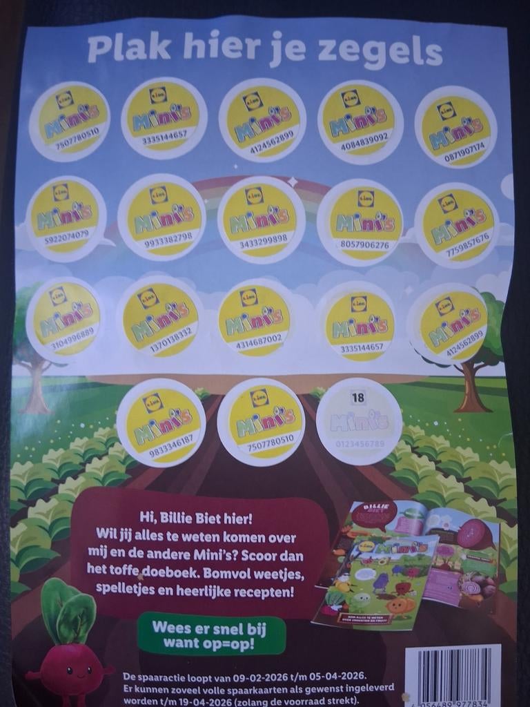 Bijna volle Lidl Mini's spaarkaart, Ophalen of Verzenden
