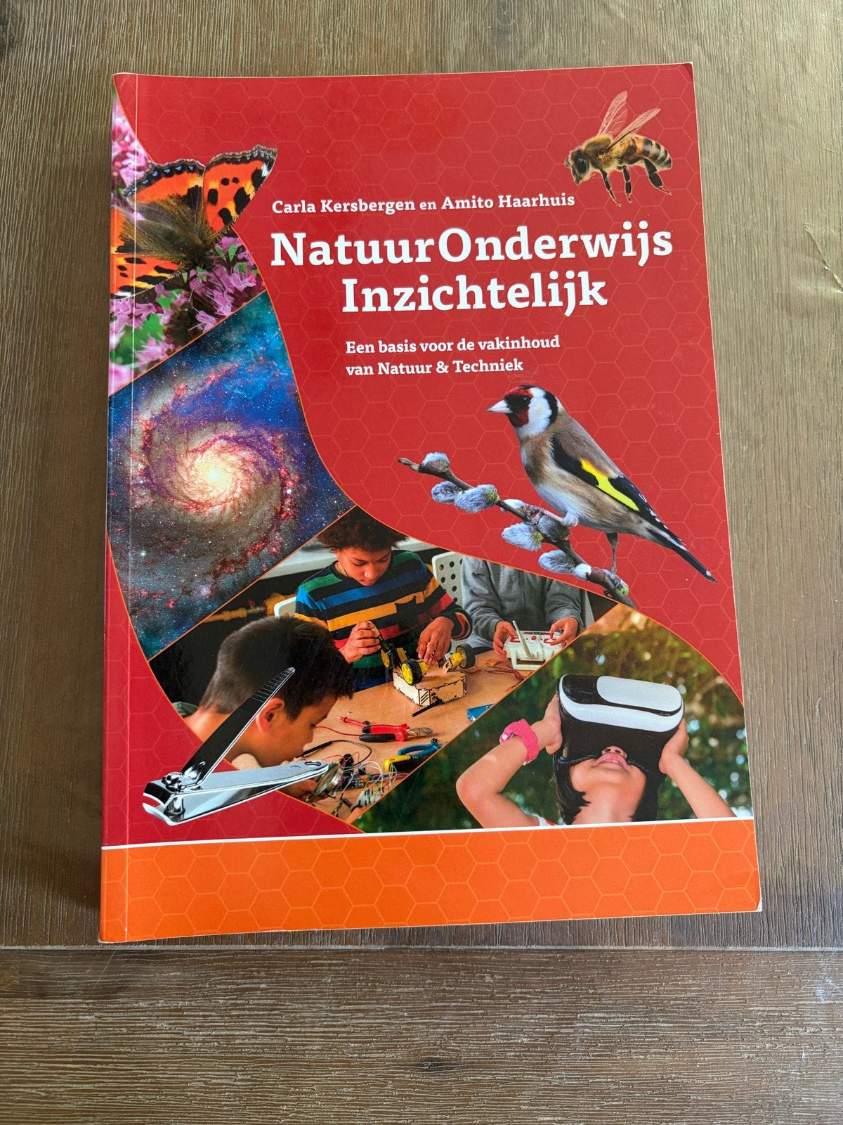 NatuurOnderwijs Inzichtelijk - Carla Kersbergen & Amito Haar, Boeken, Ophalen of Verzenden, Beta, Zo goed als nieuw, HBO